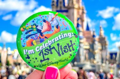 Disney World Fans Share Their Favorite Things That Cost Nearly NOTHING in the Parks