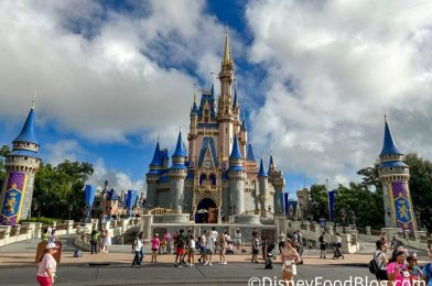 4 Viral Disney World Secrets That Are Flooding the Internet