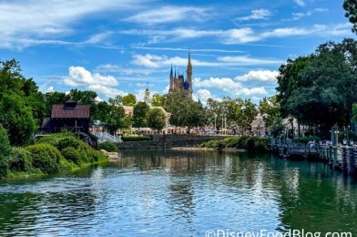 7 BRUTAL REALITIES About Disney World That No One Wants To Tell You