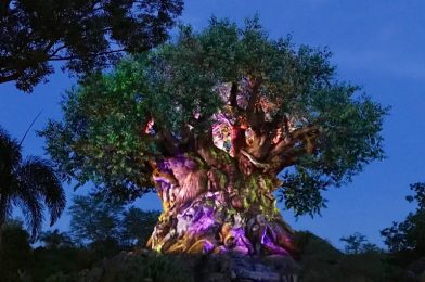 Advance Registration Opens September 19 for Fall 2024 Moonlight Magic at Disney’s Animal Kingdom