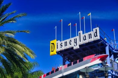 NEW Disney Visa Card Discount Announced for Disneyland Resort Hotels