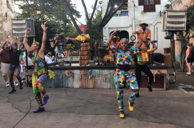 BREAKING: Burudika Returning to Disney’s Animal Kingdom After 5 Year Absence