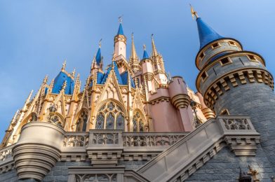 Disney’s Disability Access Service Validity Period Extended