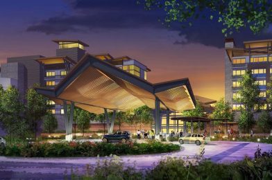 FAA Approves Construction of Temporary Crane on Reflections Resort Site