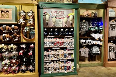 PHOTO REPORT: Animal Kingdom and Hollywood Studios 9/26/2024 (Hurricane Helene, Low Crowds, and More)