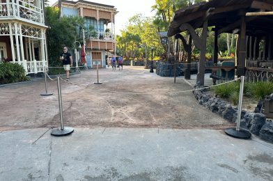 Adventureland Pavement Refurbishment Already Past Swiss Family Treehouse