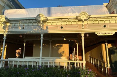 Scrims Removed from City Hall Restrooms at Magic Kingdom Amid Hurricane Threats