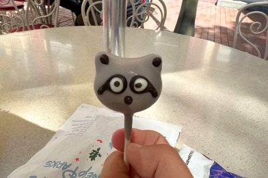 Cute New Raccoon Cake Pop Arrives at Disneyland for Fall 2024