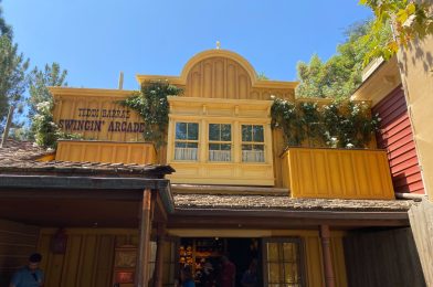 Pooh Corner Reopens, Louis’ Critter Club Sign & Display Window in Bayou Country at Disneyland