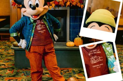 FIRST LOOK at New Autumn Mickey and Friends Character Costumes at Disneyland Resort