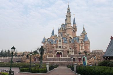 Shanghai Disney Actively Combating Ticket Scalper Issues