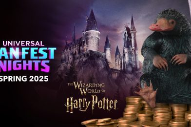 Niffler Encounter and More ‘Harry Potter’ Creature Experiences Coming to Universal Studios Hollywood