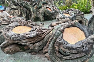 Pandora – World of Avatar Interactive Drums Refurbished at Disney’s Animal Kingdom