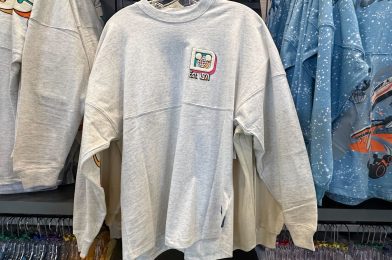 New Heather Gray Walt Disney World Spirit Jersey Now Available