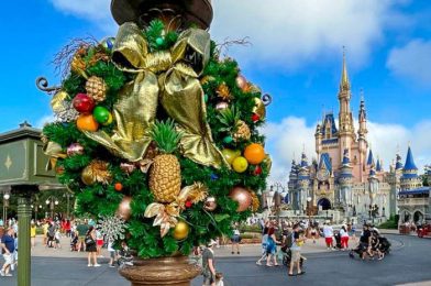 NEWS: The MASSIVE Gingerbread House at Disney’s Grand Floridian Is Already Taking Shape!