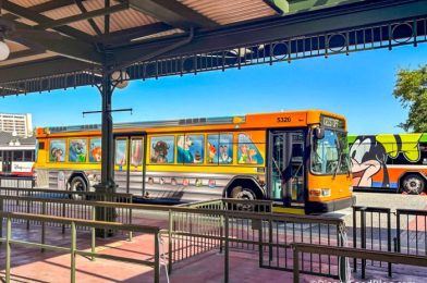 I Just Realized I’ve Been Taking the WRONG BUS To EPCOT For Years Now