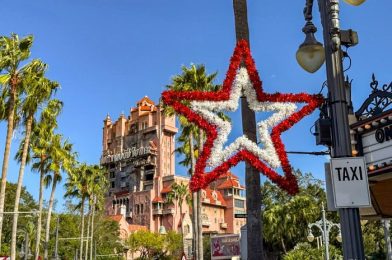 ⭐NEWS: Something NEW Arrived at Disney’s Hollywood Studios for the Holidays!⭐