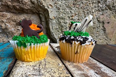 NEW Disney’s Animal Kingdom Cupcakes Feature Zebra Stripes & The Lion King