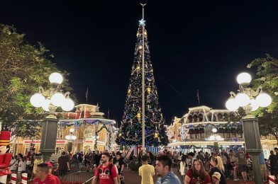 “Very Member Merriment” on Select Nights of Magic Kingdom Christmas Party