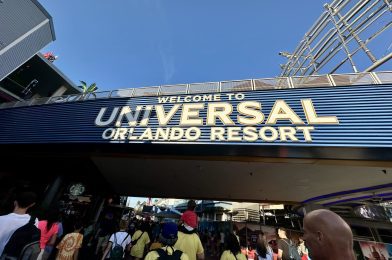 PHOTO REPORT: Universal Studios Florida and Islands of Adventure 10/25/2024 (HHN 2024 Sale, Duff Beer, and Seuss Christmas)