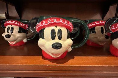 Ornaments, Mug Among New 2024 Christmas Merchandise at Walt Disney World