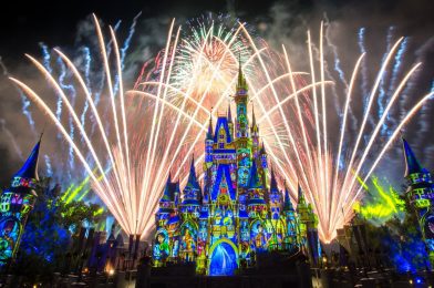 Texas Man Reportedly Pushes Stroller into Cast Member & Shoulder Checks Her for Magic Kingdom Fireworks Spot