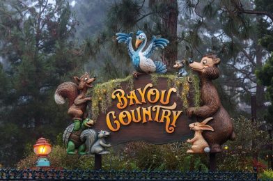 New Bayou Country Sign Revealed at Disneyland