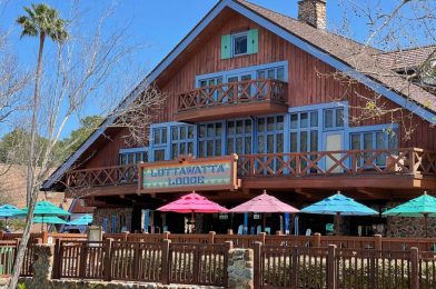 New Menu Items Coming to Disney’s Blizzard Beach Water Park