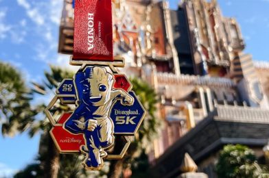 runDisney Medals Revealed for 2025 Disneyland Half Marathon Weekend