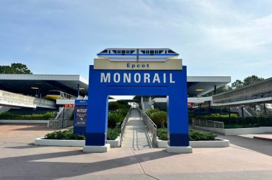 Elderly Guest Arrested for Urinating in Bushes at Walt Disney World’s Transportation & Ticket Center