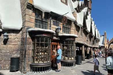 2024 Collector’s Wand Arrives at Wizarding World of Harry Potter in Universal Orlando