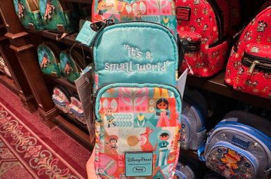 New “it’s a small world” Lug Water Bottle Bag at Disney World