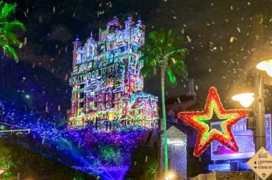 NEWS: Temps Drop in Disney World Forcing One Park To CLOSE for 3 Days