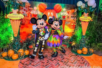 Celebrate Mickey and Minnie’s Birthday by Spoiling Yourself