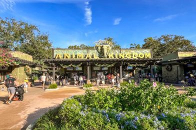 4 Big Reasons Disney World Crowds Could Be Lower in 2025