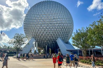 7 Items You Should NEVER Buy at Disney World