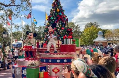 ALERT! The HUGE Christmas Tree Has Arrived at EPCOT