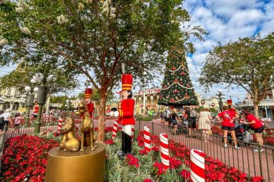 SPOTTED: The MASSIVE Christmas Tree Is Up at Disney’s Wilderness Lodge Hotel