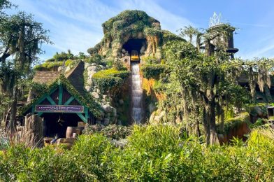 A SURPRISING Look at Disney’s Opening Day Tiana’s Bayou Adventure CROWDS