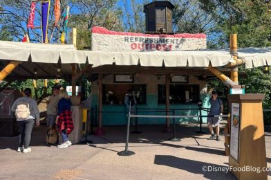 REVIEW: Wait a Sec…Did We Just Discover a SECRET Menu Item at EPCOT Festival of the Holidays?