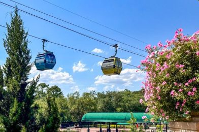 2 HUGE Problems with the Disney World Skyliner