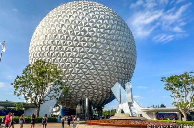 You’ll Never Guess What’s Behind This Wall in EPCOT’s Germany Pavilion