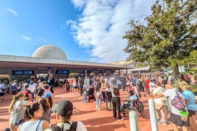 Did Disney Parks Attendance Bounce Back This Quarter? Well Not Exactly.