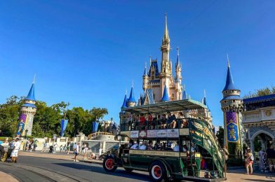 5 Disney World Trends That Are on the Verge of Going Extinct in 2025