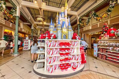 HURRY! There’s a NEW Must-Have Popcorn Bucket in Disney World!