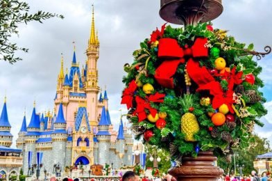 CONFIRMED: Lightning Lane Multi Pass Price Increases Ahead of Holidays in Disney World