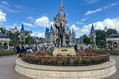 DFB Video: TOP Restaurants in Disney World for 2025