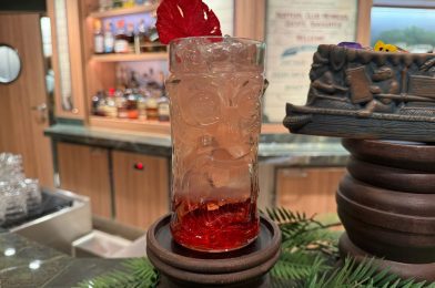 FIRST LOOK at Skipper Society Lounge Tiki Mug and Glasses