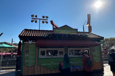 Winter Sliderland is the Booth to Visit for a Hot Drink at the 2024 Festival of Holidays