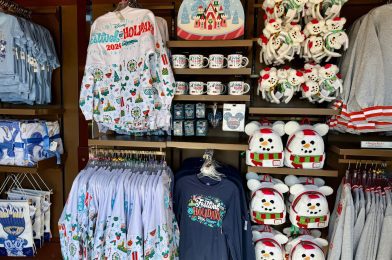 Full List (With Prices) of 2024 Disney California Adventure Festival of Holidays Merchandise